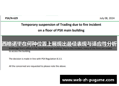 西格诺里在何种位置上展现出最佳表现与适应性分析