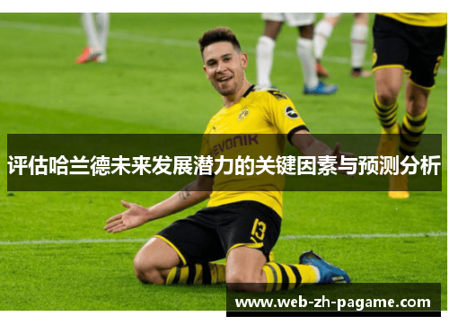 评估哈兰德未来发展潜力的关键因素与预测分析