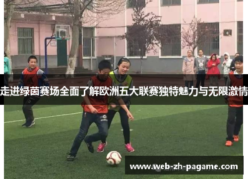 走进绿茵赛场全面了解欧洲五大联赛独特魅力与无限激情 走进绿茵赛场全面了解欧洲五大联赛独特魅力与无限激情