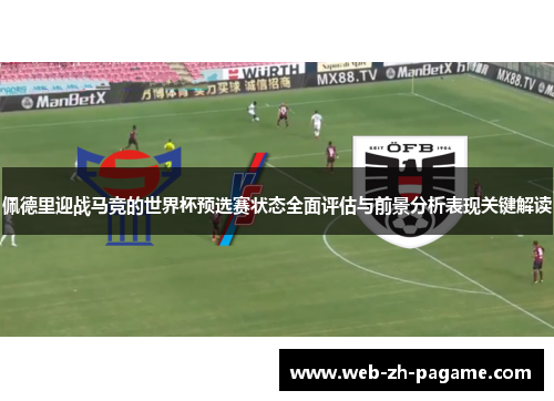 佩德里迎战马竞的世界杯预选赛状态全面评估与前景分析表现关键解读