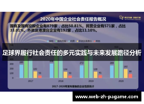 足球界履行社会责任的多元实践与未来发展路径分析 足球界履行社会责任的多元实践与未来发展路径分析